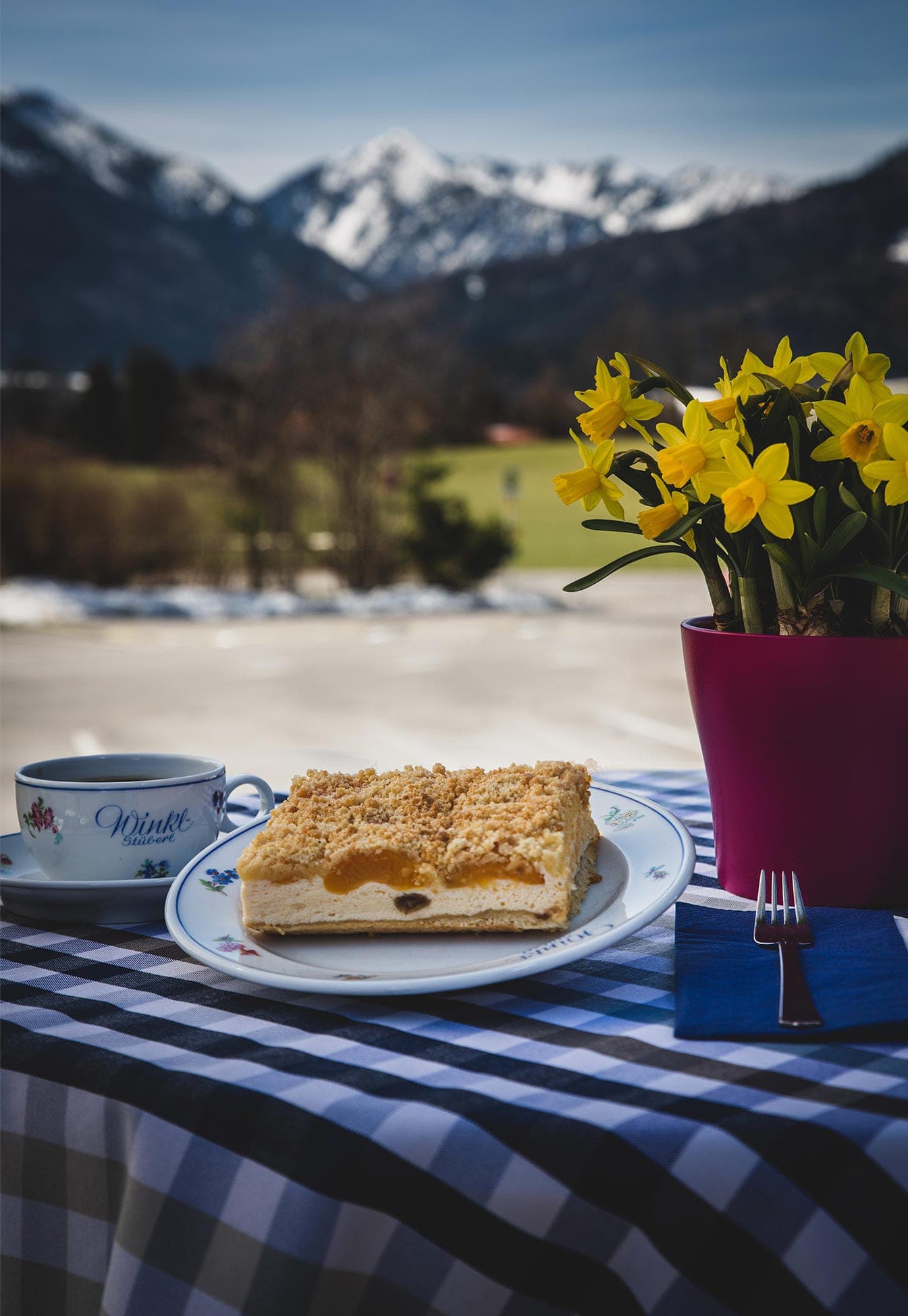 Aprikosenschnitte